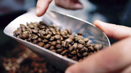 best guatemalan coffee